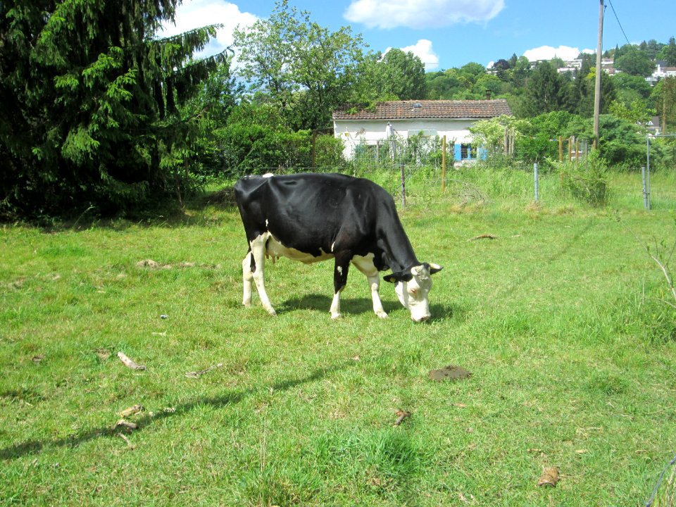 20200606Almet2