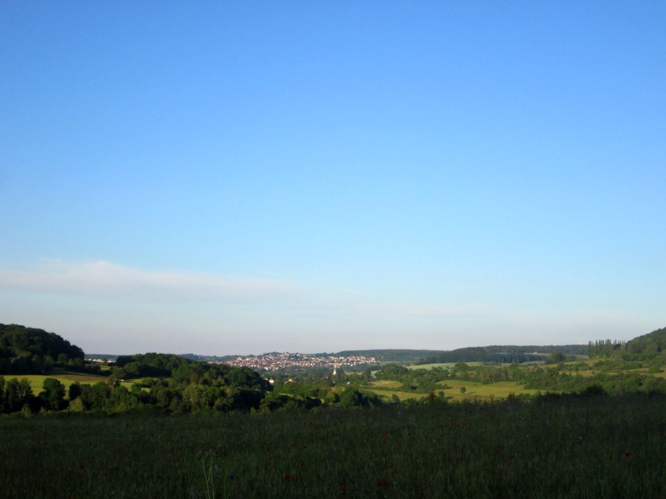 20200611Birzberg5