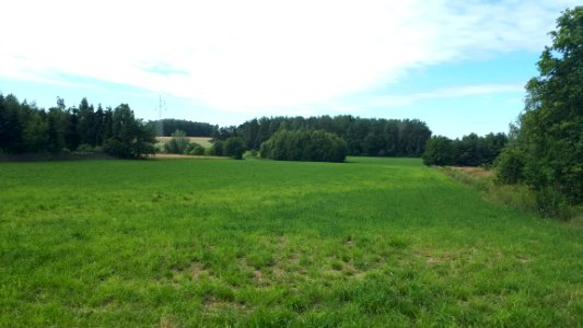 20200705_095817_Nature_of_Poland_Lodz_Voivodeship