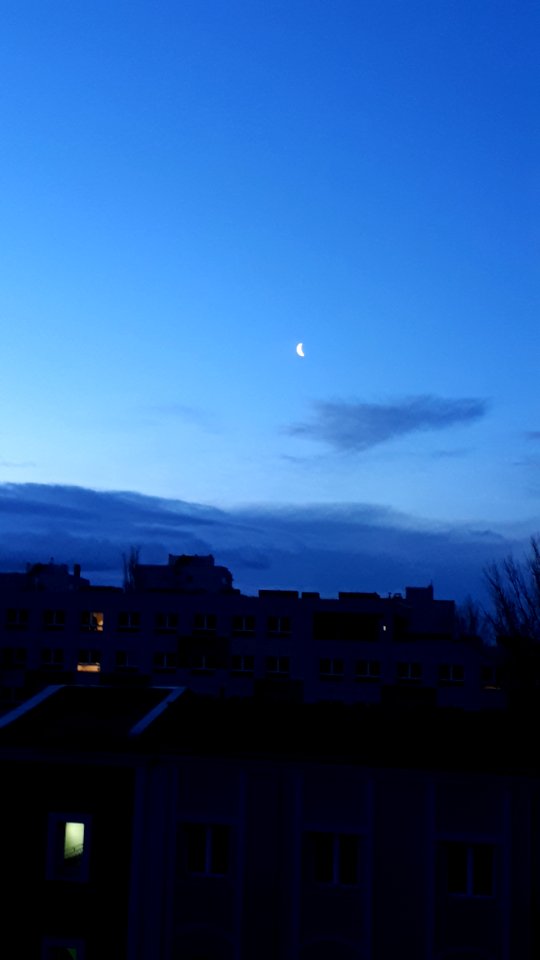 20200218_062911_February_2020_in_Łódź