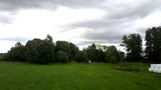 20200731_103553_Województwo_podlaskie