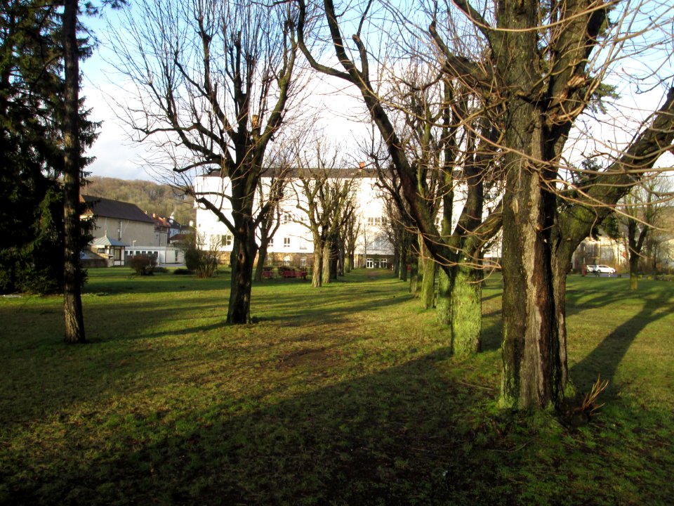 20200213SHG_Klinik_Halberg2