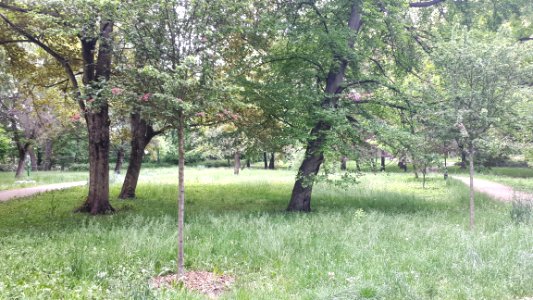 20200531_143841_Park_Źródliska_in_Łódź_May_2020