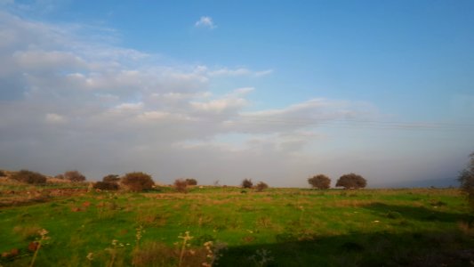 20200213_153602_February_2020_in_north_Israel