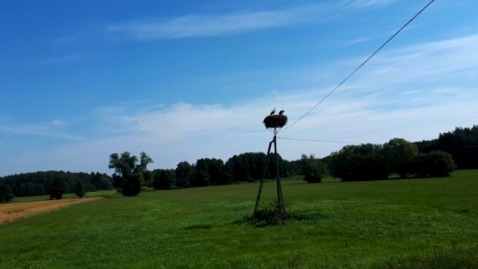 20200728_104748_Województwo_podlaskie