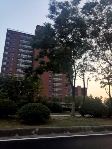 2020.10_Binhu,_Wuxi_无锡滨湖区街景_47