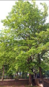 20200520_061257_May_2020_in_Lodz