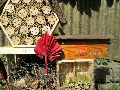 20200427Insektenhotel2