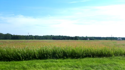 20200728_104403_Województwo_podlaskie