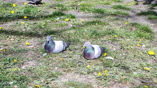 20200423_155139_April_2020_in_Lodz