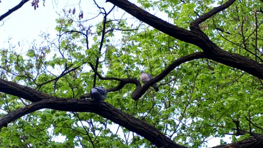 20200502_180253_Park_Poniatowskiego_w_Łodzi