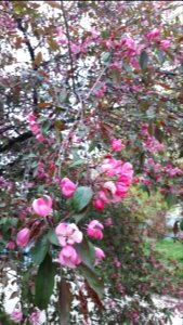20200425_183755_April_2020_in_Lodz