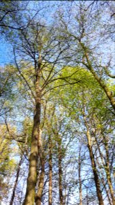 20200423_170118_Park_Piłsudskiego_in_Łódź_April_2020