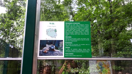 20200712_101719_Akcent_Zoo_in_Białystok