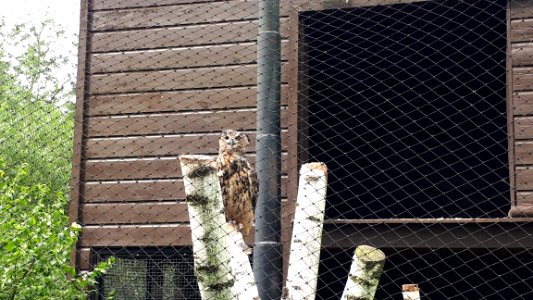 20200712_101928_Akcent_Zoo_in_Białystok