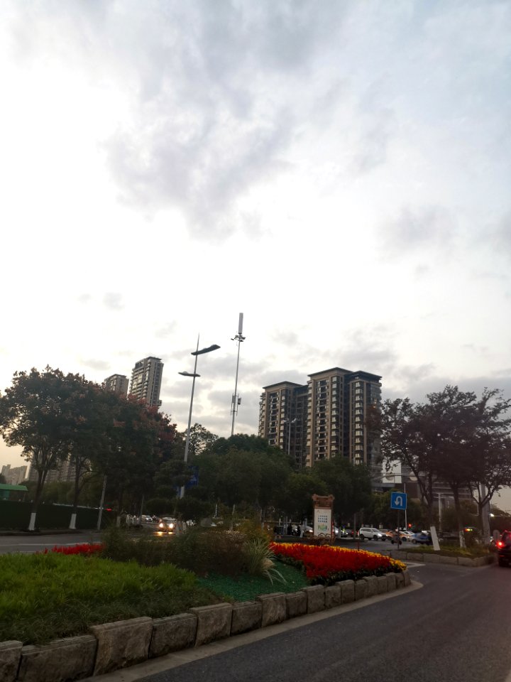 2020.10_Binhu,_Wuxi_无锡滨湖区街景_46