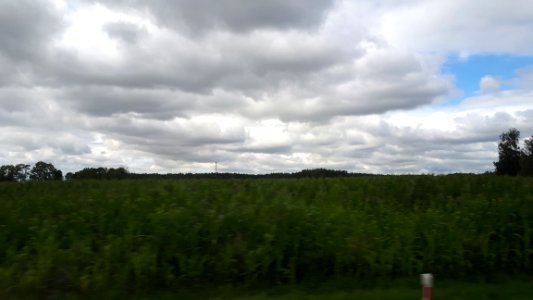 20200731_102957_Województwo_podlaskie