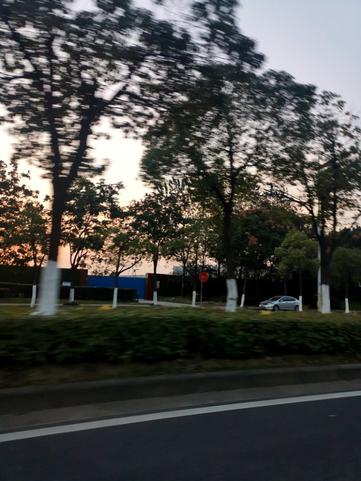 2020.10_Binhu,_Wuxi_无锡滨湖区街景_03