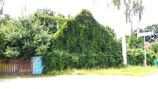 20200712_120848_July_2020_in_Białystok
