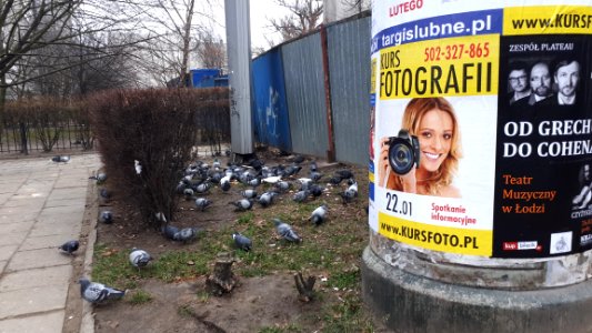 20200118_120713_Lodz