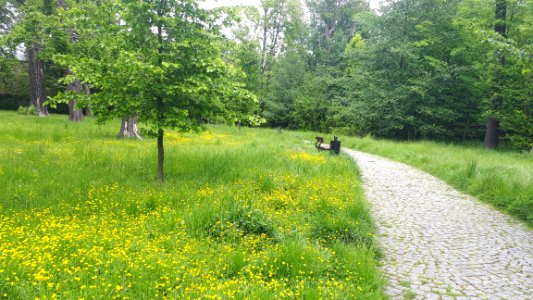 20200531_142758_Park_Źródliska_in_Łódź_May_2020