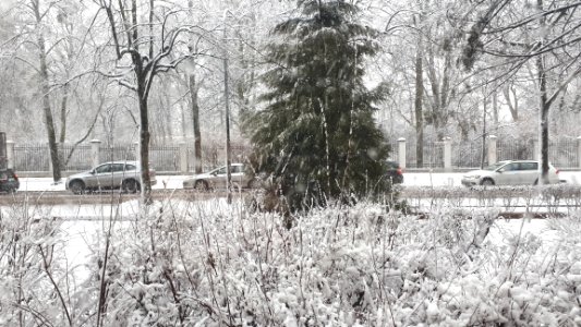 20200129_114150_Matejki_Street_in_Łódź_2020
