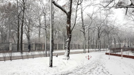 20200129_085850_Matejki_Street_in_Łódź_2020