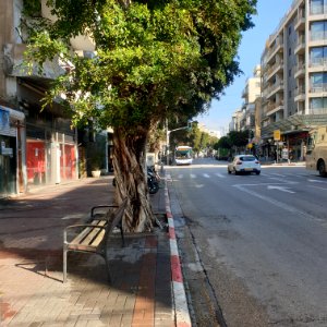 20200123_093516_January_2020_in_Tel_Aviv photo