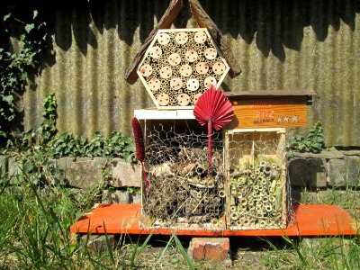 20200427Insektenhotel1