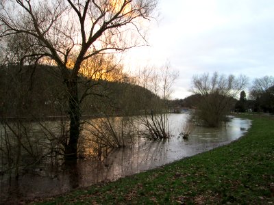 20200204Saarhochwasser10