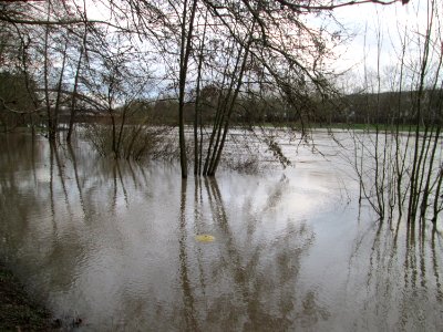 20200204Saarhochwasser05