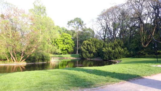20200502_180829_Park_Poniatowskiego_w_Łodzi