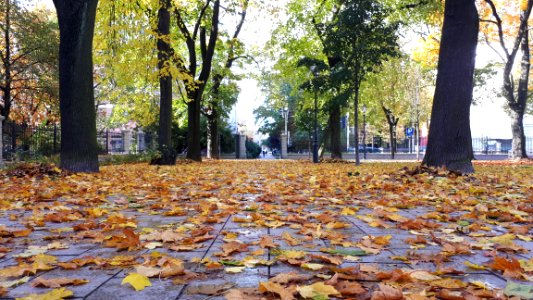 20201024_115451_Park_Sienkiewicza_in_Łódź