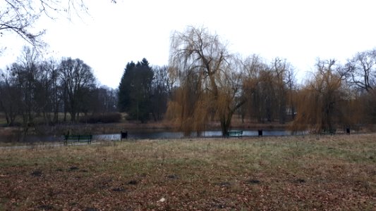 20200101_135711_Park_Mickiewicza_in_Łódź