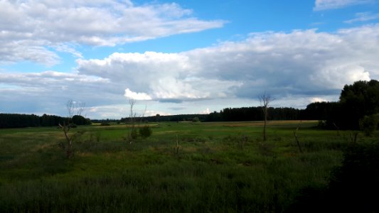 20200712_182437_2020_in_Podlaskie_Voivodeship