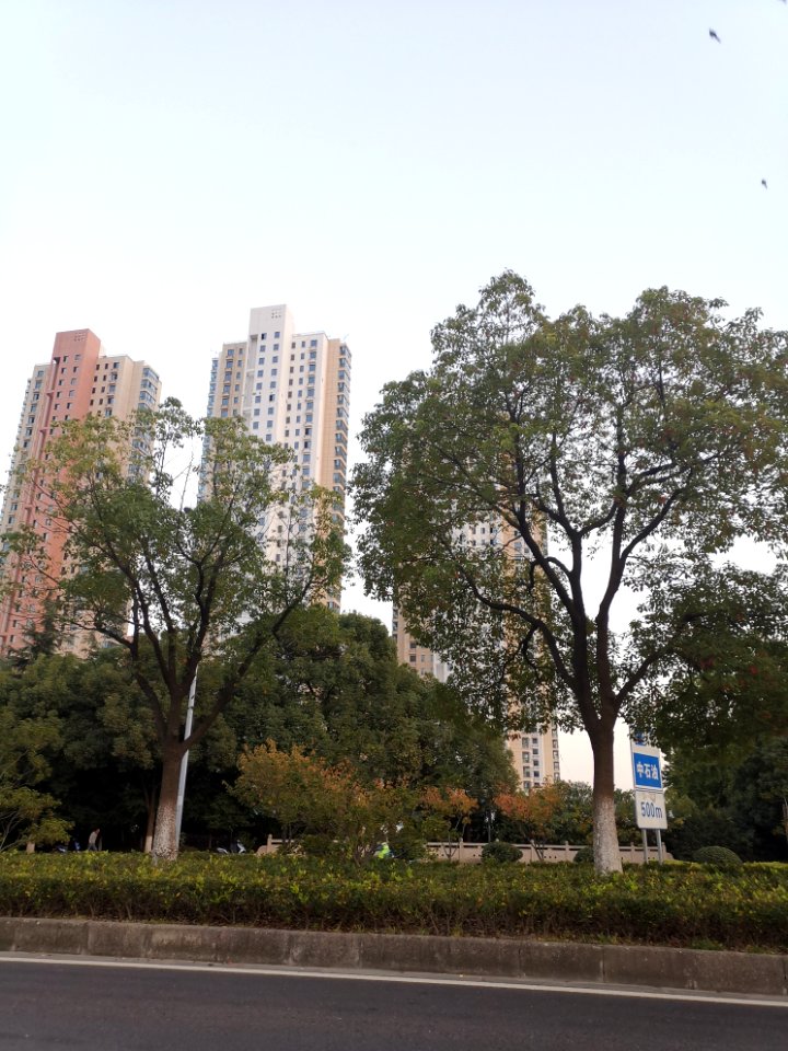 2020.10_Binhu,_Wuxi_无锡滨湖区_02
