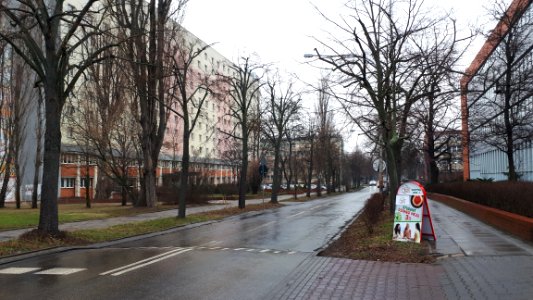20200128_110910_Matejki_Street_in_Łódź_2020