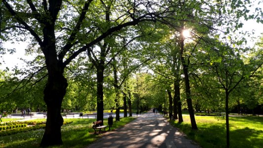 20200502_175410_Park_Poniatowskiego_w_Łodzi_May_2020