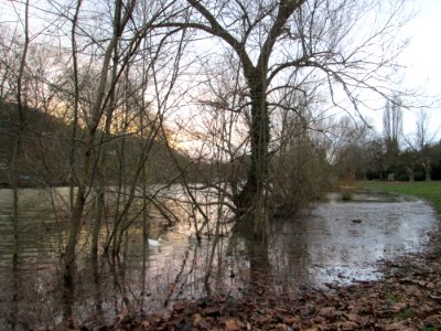 20200204Saarhochwasser07