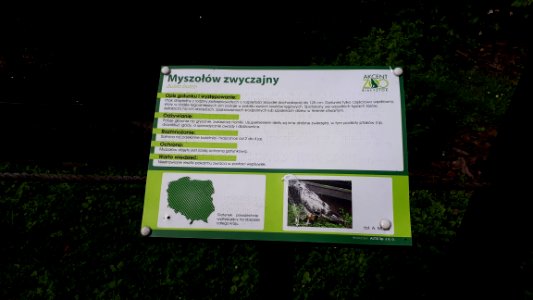 20200712_101831_Akcent_Zoo_in_Białystok