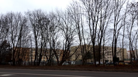 20200101_135341_Zgierska_Street_in_Łódź_January_2020