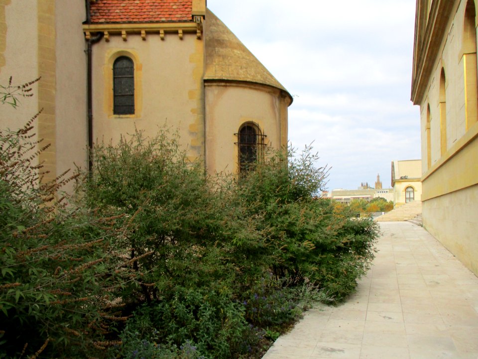 20201017Chapelle_des_Templiers_de_Metz4