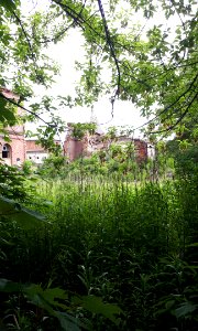 20200601_205534_Fuzja_Lodz