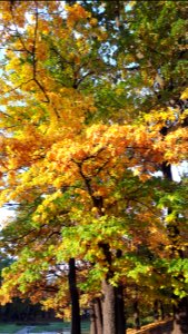 20201025_151012_Park_Helenów_in_Łódź