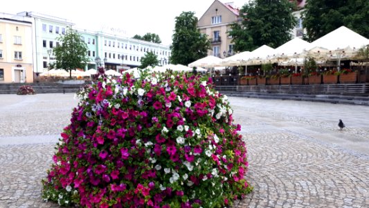 20200711_190628_Rynek_Kościuszki_in_Białystok