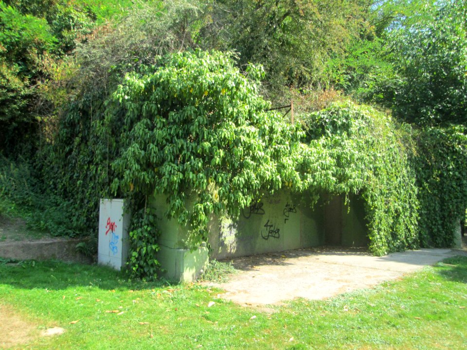 20200804Deutsch-Französischer_Garten4