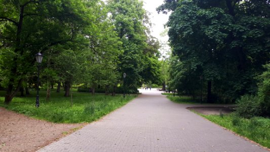 20200531_143845_Park_Źródliska_in_Łódź_May_2020