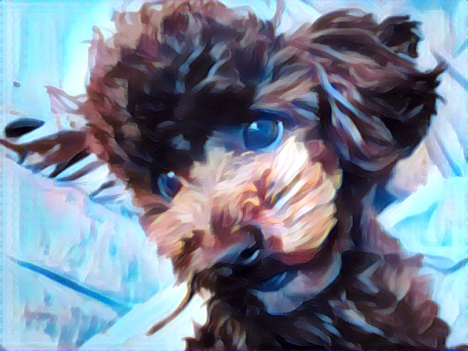 2021-03-22_17.52.23_poodle_ggomi