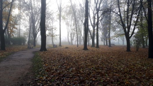20201110_081124_Park_Centralny_in_Białystok