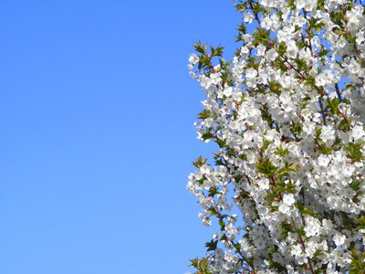 Uk blue sky